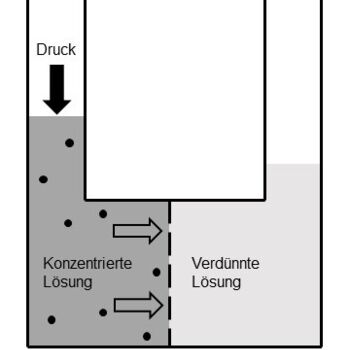 Prinzip Umkehrosmose